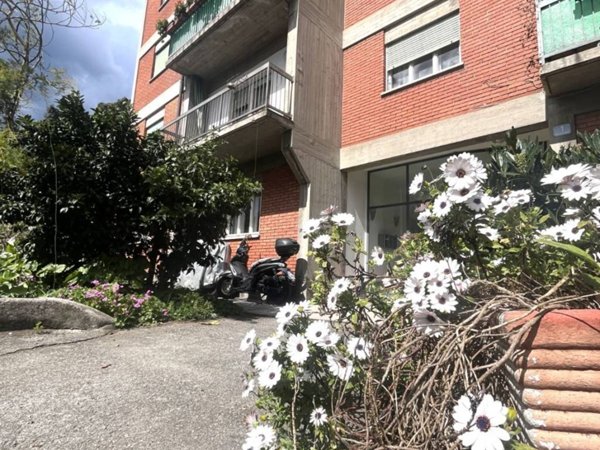 appartamento in affitto a Trieste in zona Sant'Andrea