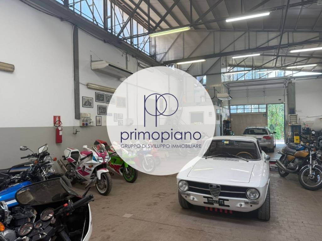 appartamento in affitto a Trieste in zona Borgo San Sergio