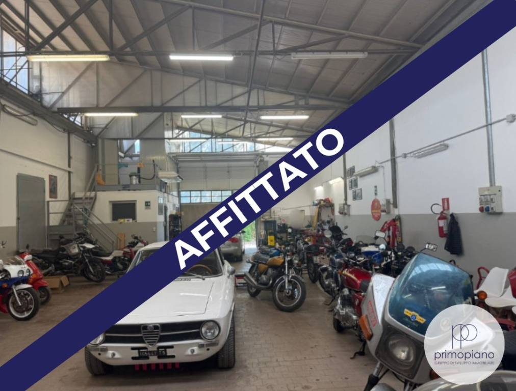 appartamento in affitto a Trieste in zona Borgo San Sergio