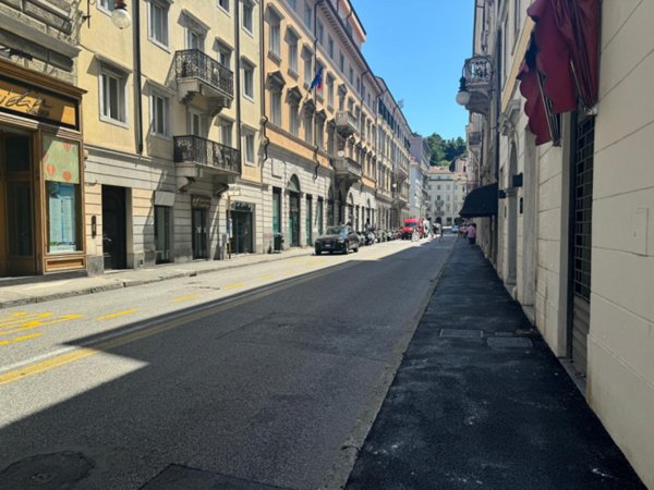 negozio in affitto a Trieste