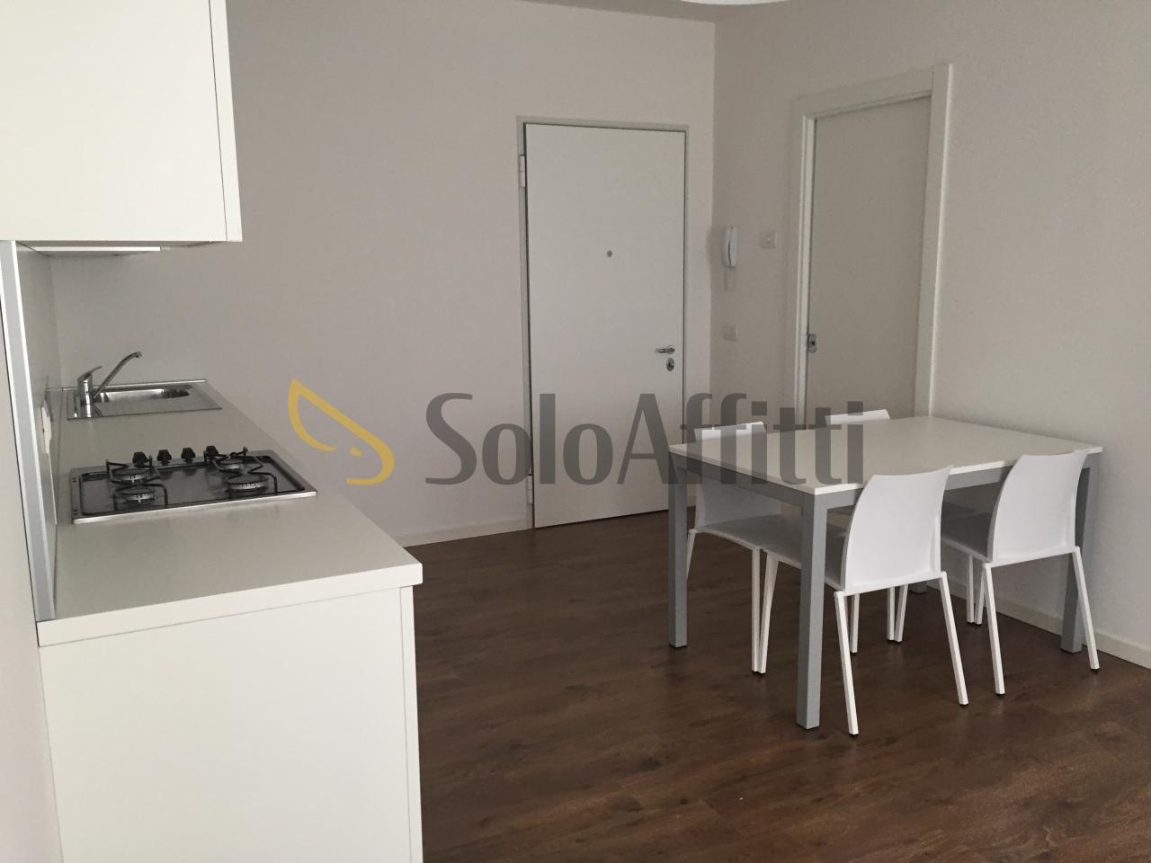 appartamento in affitto a Trieste in zona Gretta