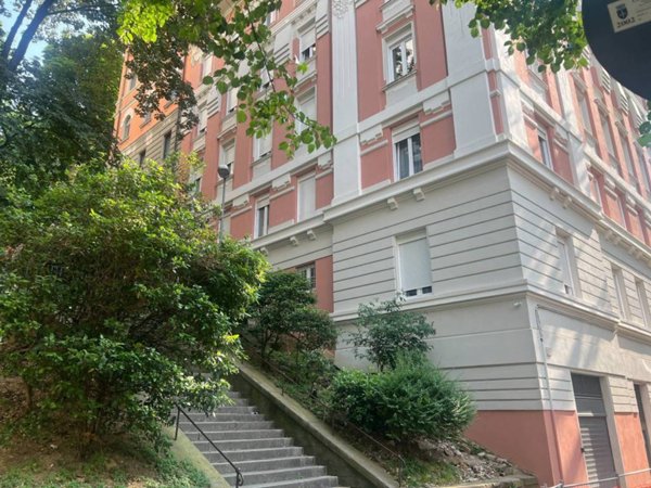 appartamento in affitto a Trieste