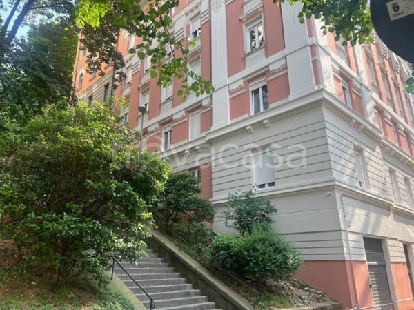 appartamento in affitto a Trieste in zona Cologna