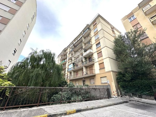 appartamento in affitto a Trieste