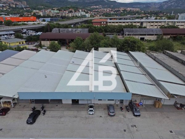 locale commerciale in affitto a Trieste in zona Borgo San Sergio