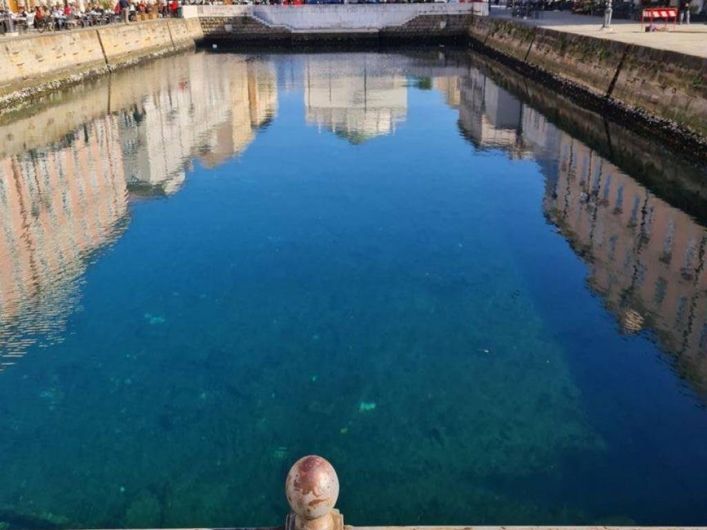 appartamento in affitto a Trieste