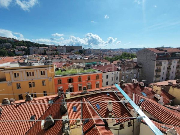 appartamento in affitto a Trieste