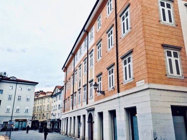 appartamento in affitto a Trieste