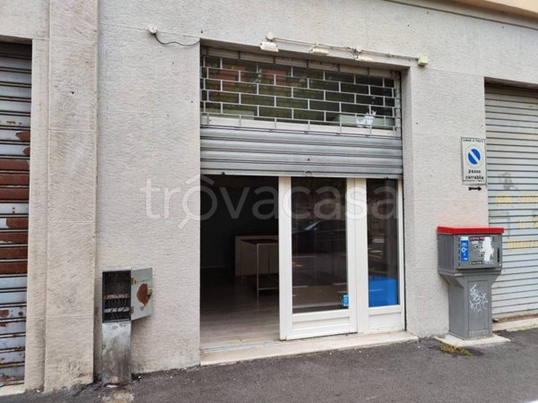 negozio in affitto a Trieste