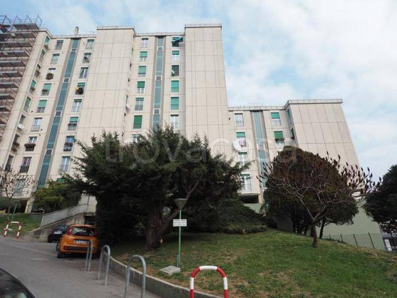 appartamento in affitto a Trieste in zona Valmaura