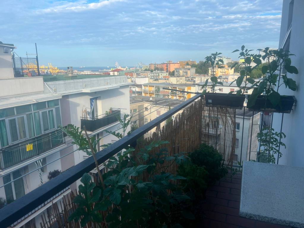 appartamento in affitto a Trieste in zona Valmaura