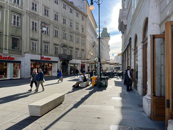 negozio in affitto a Trieste