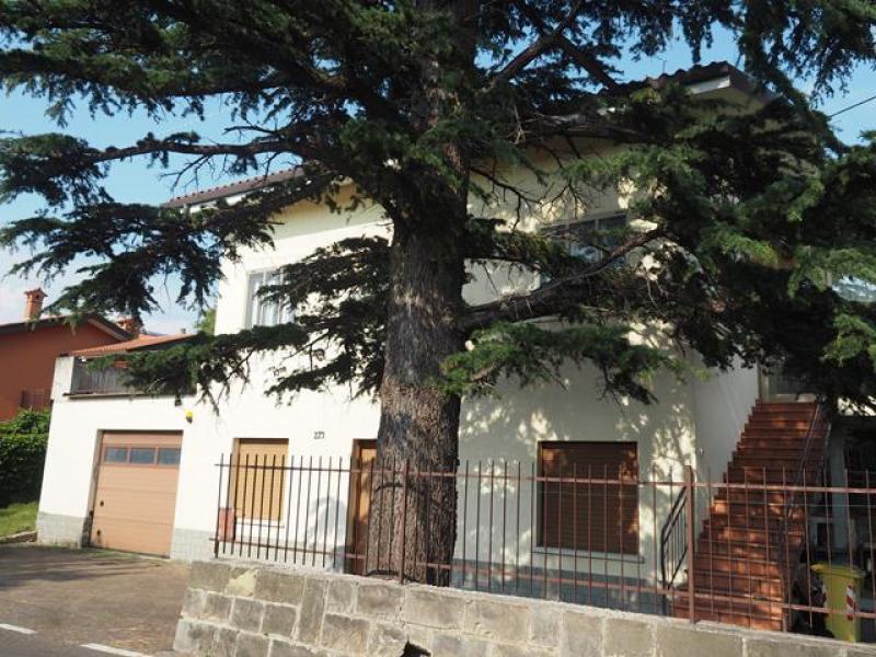 appartamento in affitto a Trieste