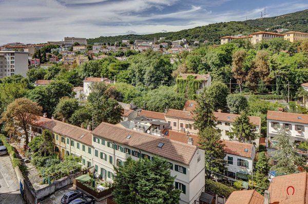 appartamento in affitto a Trieste
