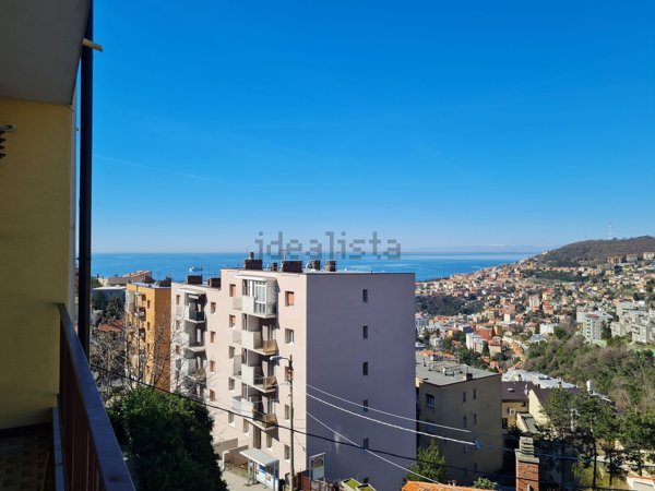 appartamento in affitto a Trieste