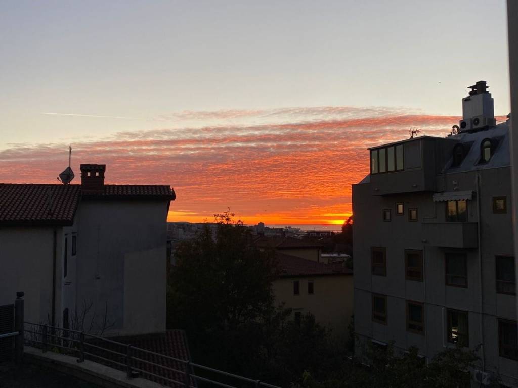 appartamento in affitto a Trieste in zona Cologna
