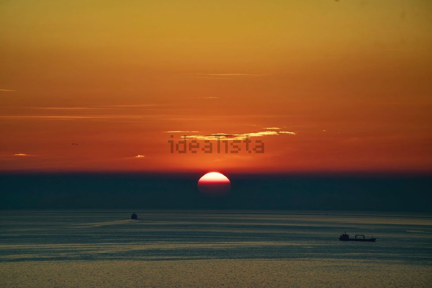 appartamento in affitto a Trieste in zona Gretta