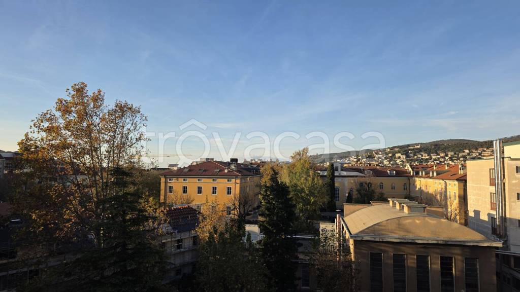 appartamento in affitto a Trieste
