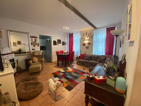 appartamento in affitto a Trieste