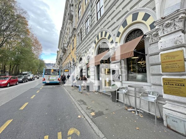 negozio in affitto a Trieste