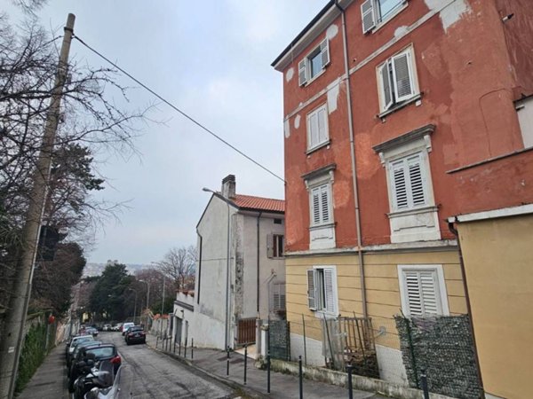appartamento in affitto a Trieste