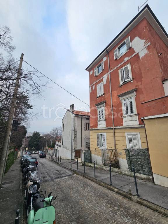 appartamento in affitto a Trieste