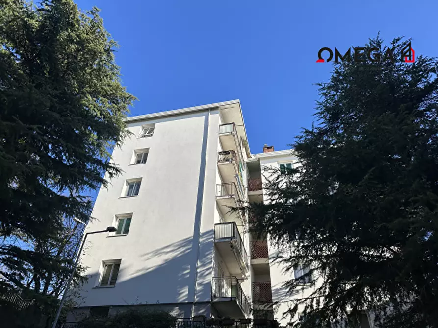appartamento in affitto a Trieste