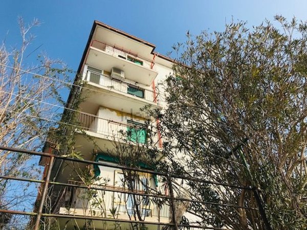 appartamento in affitto a Trieste in zona Rozzol