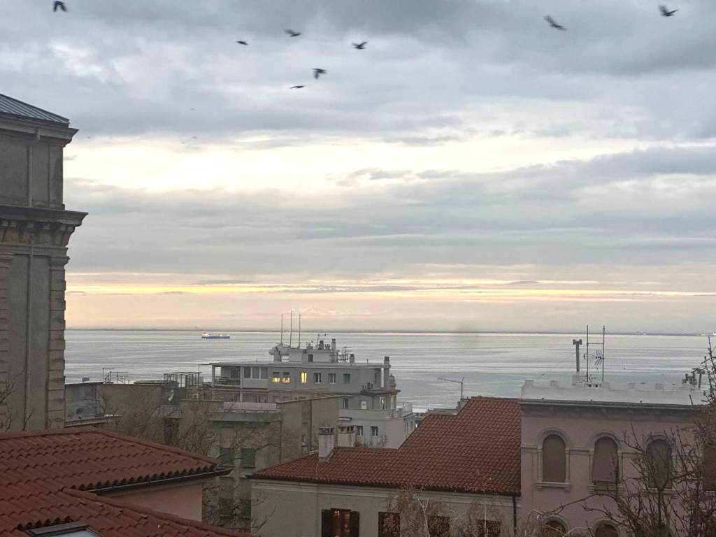 appartamento in affitto a Trieste