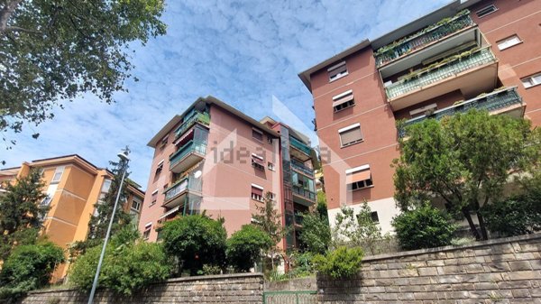 appartamento in affitto a Trieste in zona Rozzol