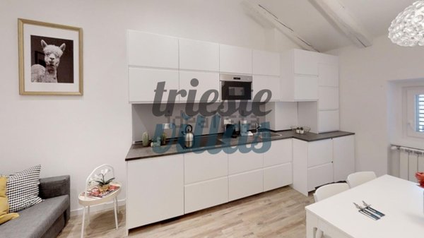 appartamento in affitto a Trieste