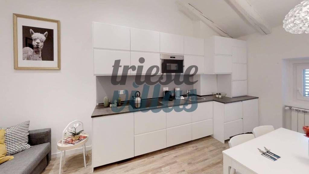appartamento in affitto a Trieste in zona Borgo Teresiano