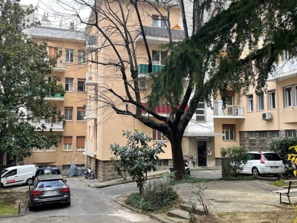 appartamento in affitto a Trieste