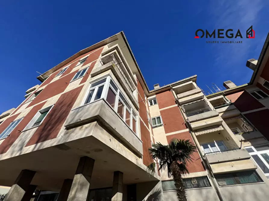 appartamento in affitto a Trieste