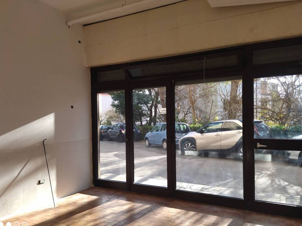 negozio in affitto a Trieste