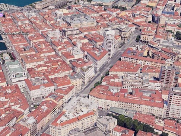 negozio in affitto a Trieste
