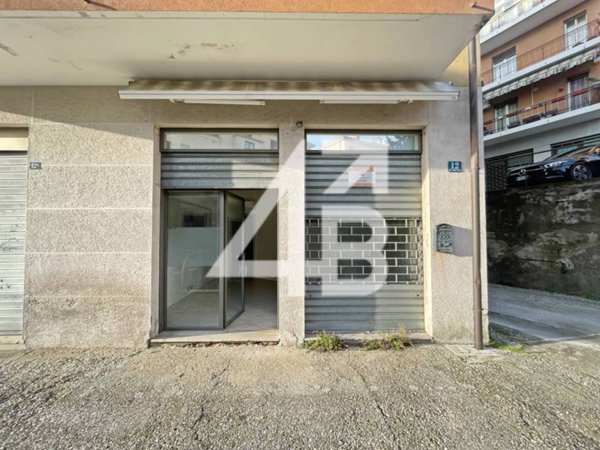 negozio in affitto a Trieste in zona Gretta