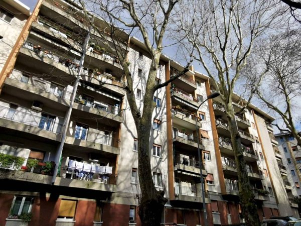 appartamento in affitto a Trieste