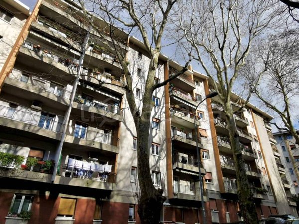 appartamento in affitto a Trieste