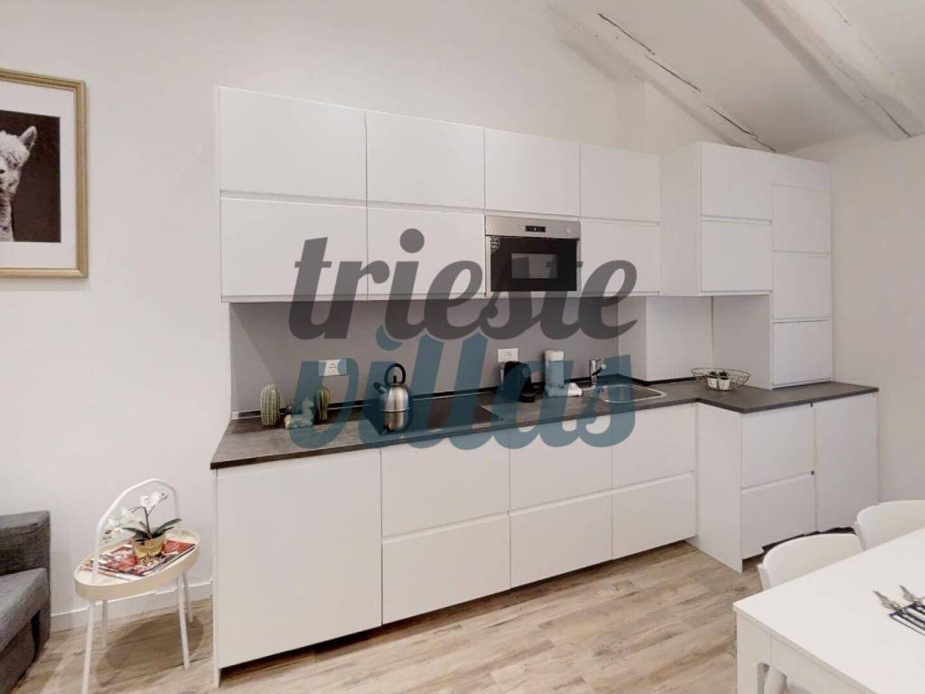 appartamento in affitto a Trieste