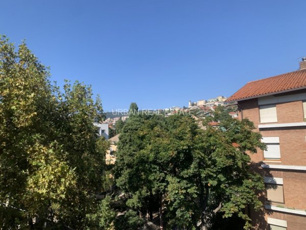 appartamento in affitto a Trieste