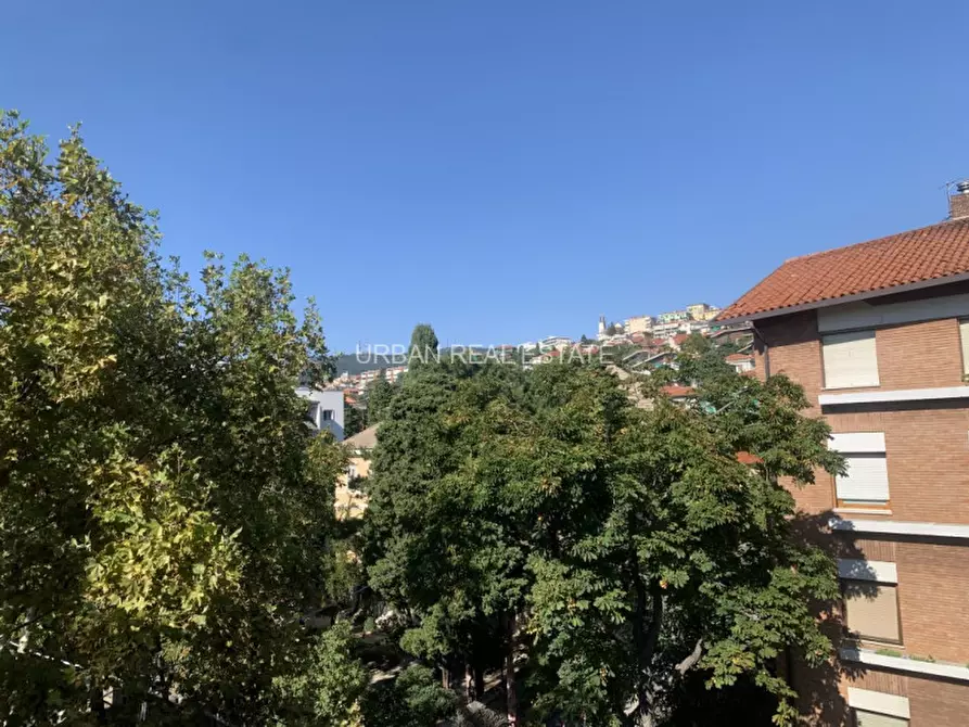 appartamento in affitto a Trieste