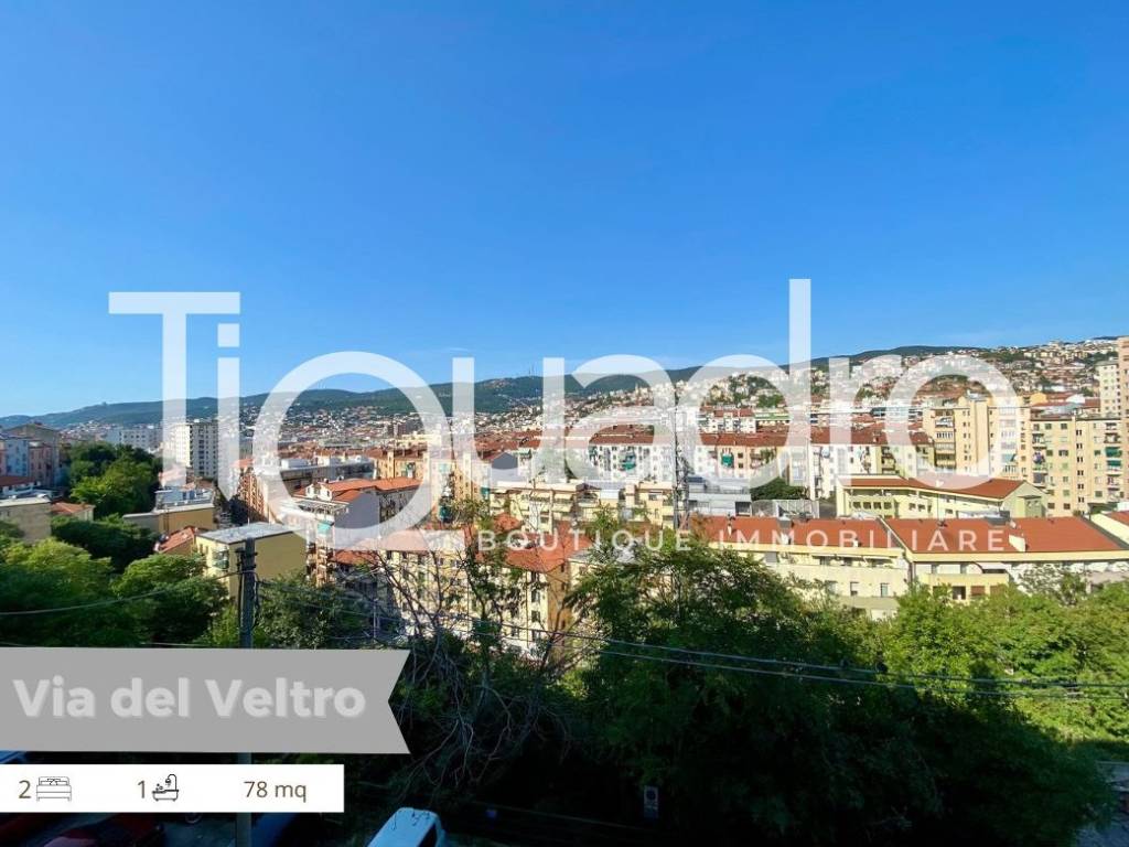 appartamento in affitto a Trieste