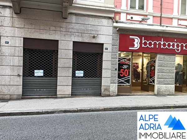 negozio in affitto a Trieste