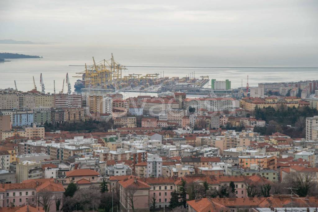 appartamento in affitto a Trieste in zona Rozzol