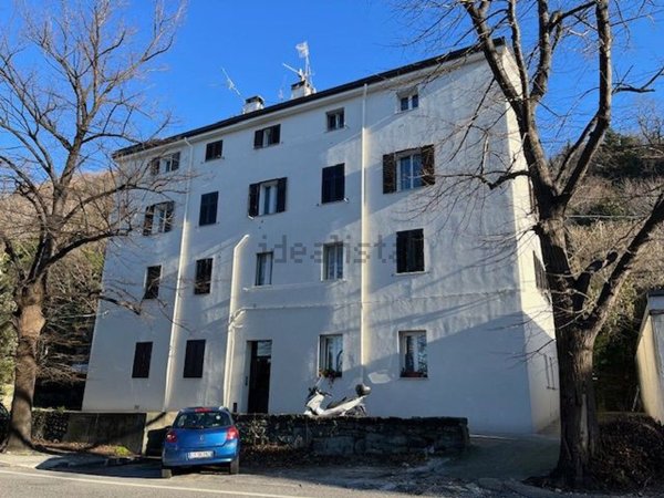 appartamento in affitto a Trieste