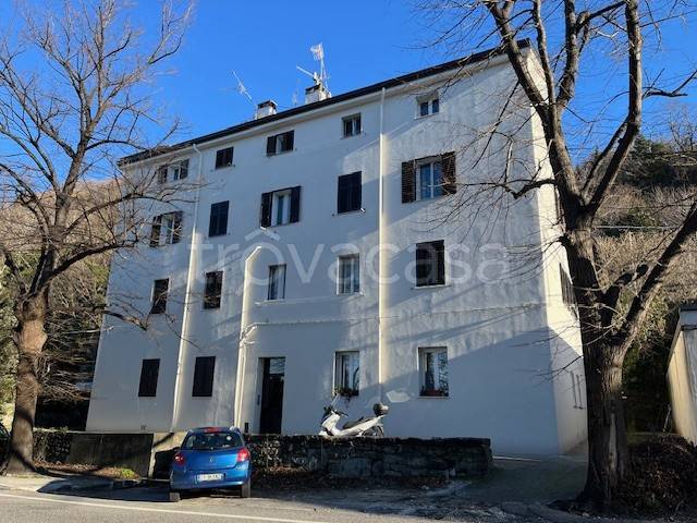 appartamento in affitto a Trieste