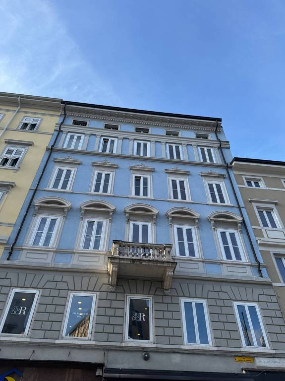 negozio in affitto a Trieste
