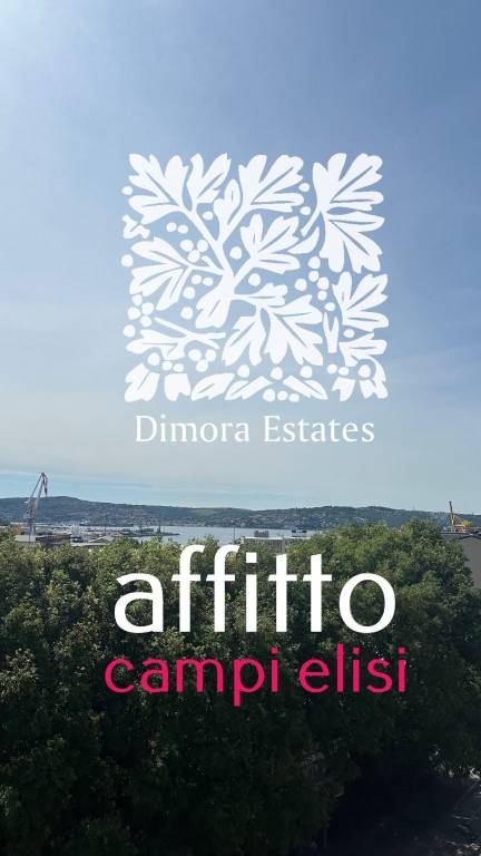 appartamento in affitto a Trieste in zona San Giacomo