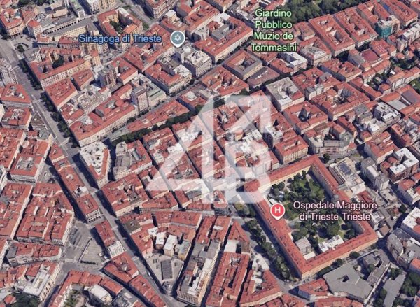 negozio in affitto a Trieste
